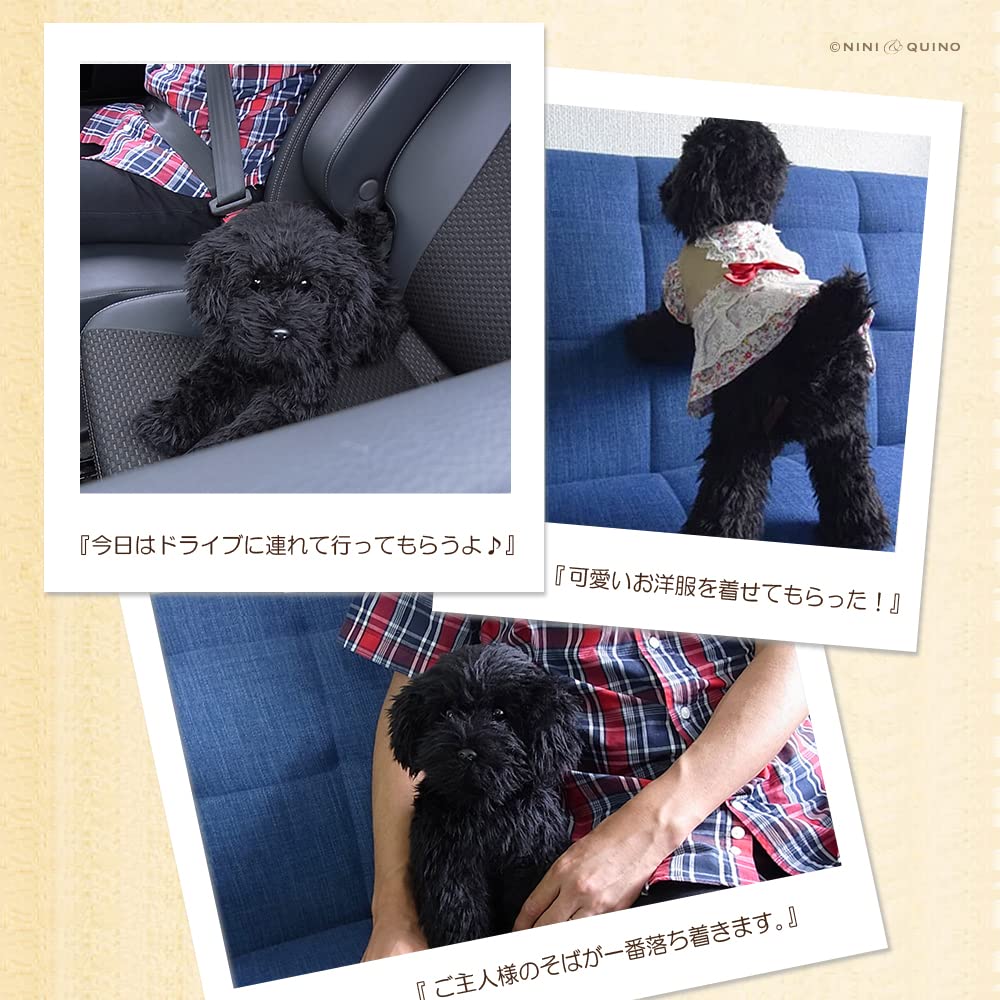 Amazon.co.jp: ニニアンドキノ ぬいぐるみ 犬 リアル トイプードル